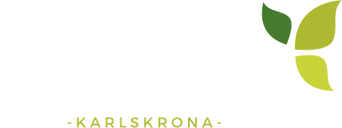D2 Taxi logo